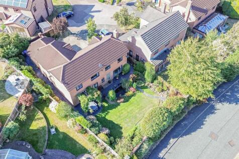 Bird&#39;s Eye View