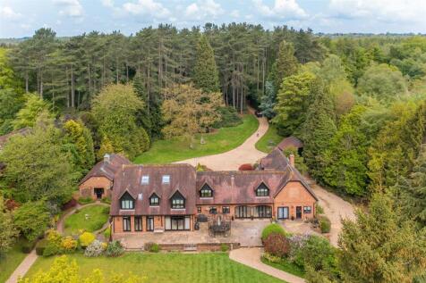 DJI_0517.jpg