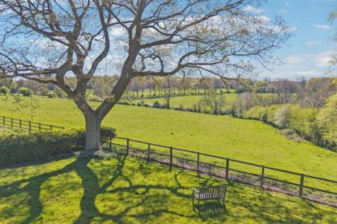 DJI_20250417102403_0333_D.jpg