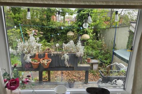 garden.jpg
