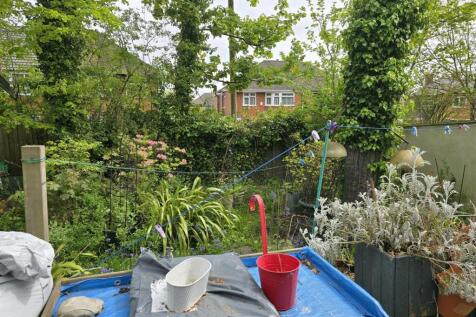garden1.jpg