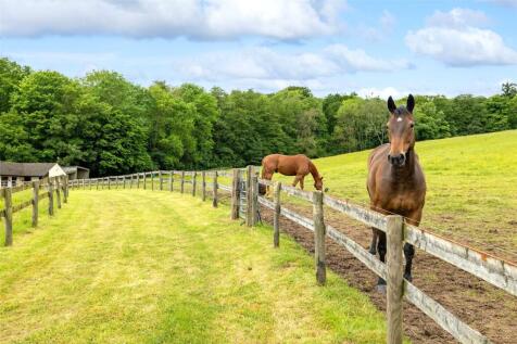 Equestrian