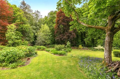 Woodland