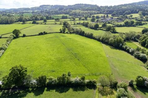 Pastureland