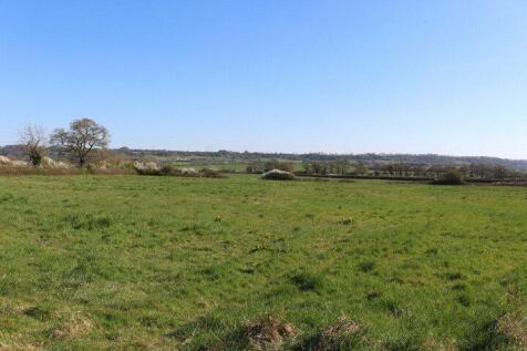 Pastureland