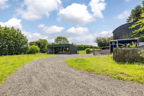 Equine Yard