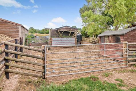 Enclosed Yard