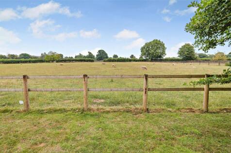 Paddocks and Stables