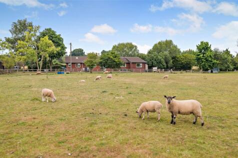 10 Acres