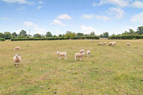 Grazing