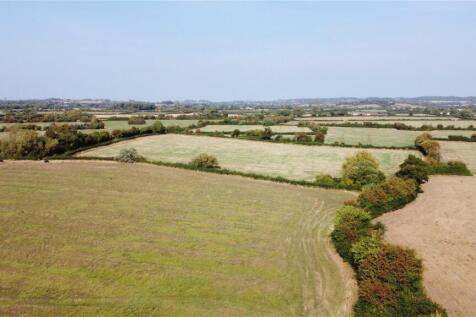 38 Acres