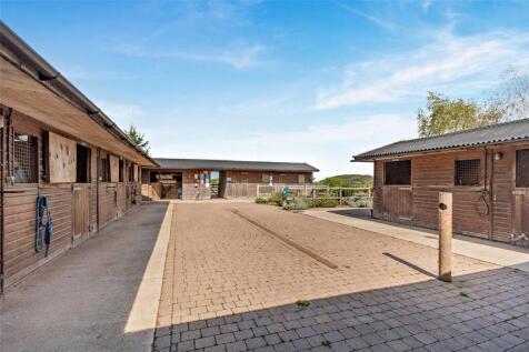 Tack/Feed Stores