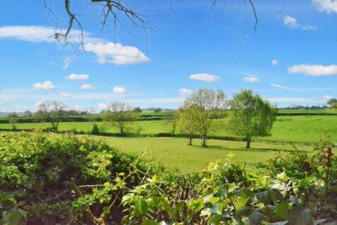 Property Image 54