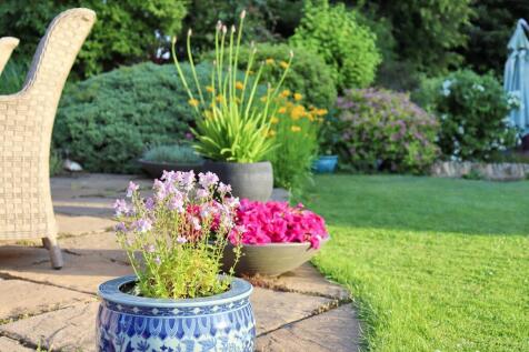 Property Image 44