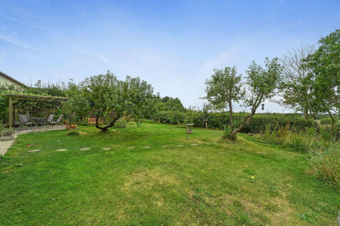 PT-DB(WP)-Orchard...