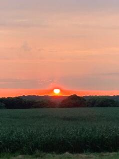sunset 4
