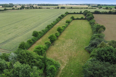 PT-DB(WP)-Treetop...