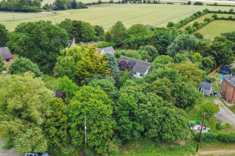 PT-DB(WP)-Treetop...