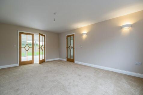 1440px-Elm Tree V...