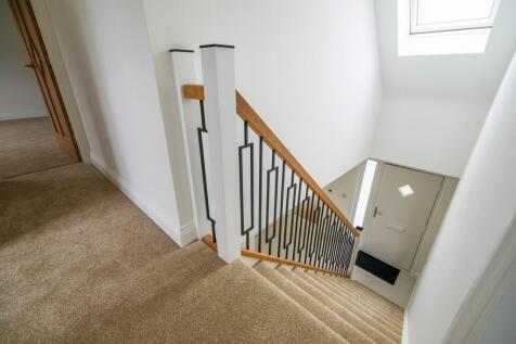 1440px-Elm Tree V...