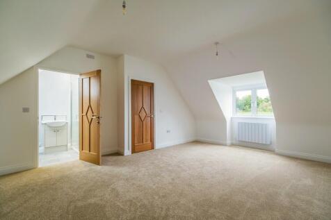 1440px-Elm Tree V...