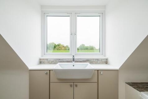 1440px-Elm Tree V...