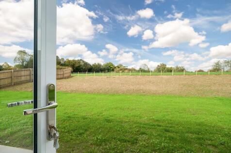 1440px-Elm Tree V...