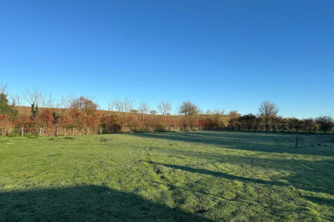 processed-33C223E...