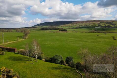 DJI_0876.jpg