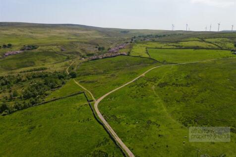 DJI_0258.jpg