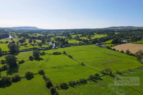 DJI_0975.jpg