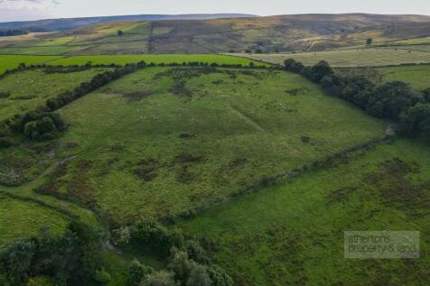 DJI_0808.jpg