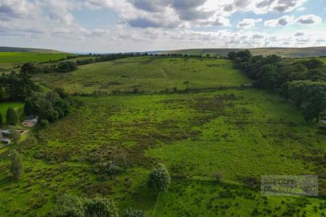 DJI_0795.jpg