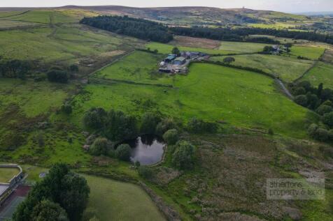 DJI_0806.jpg