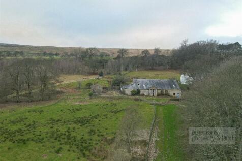 DJI_0500.jpg