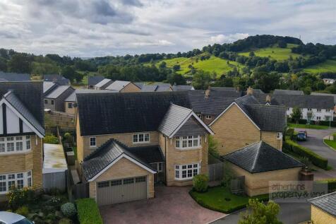 DJI_0320.jpg