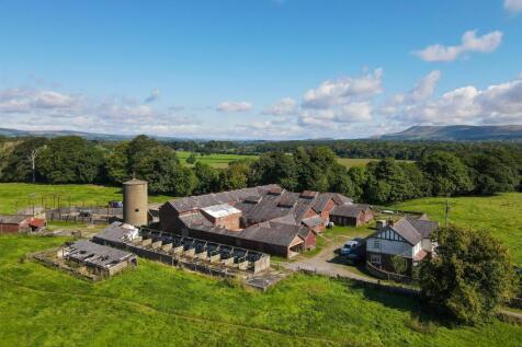 DJI_0671.jpg