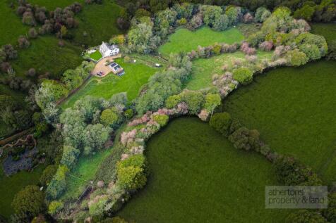DJI_0313.jpg