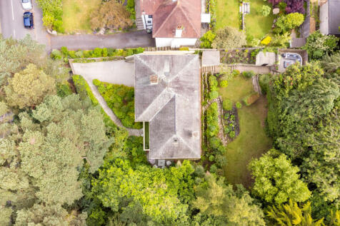 Aerial View 2
