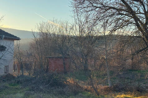 Property Image 62