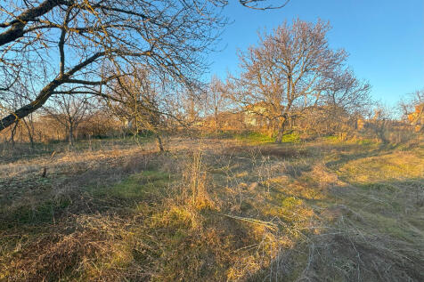 Property Image 63