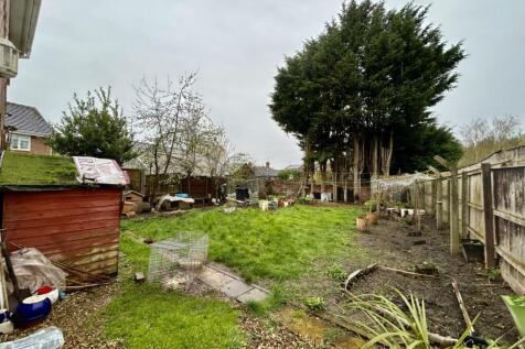 Garden.jpg