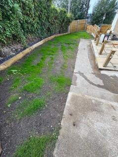 Garden 2.jpg