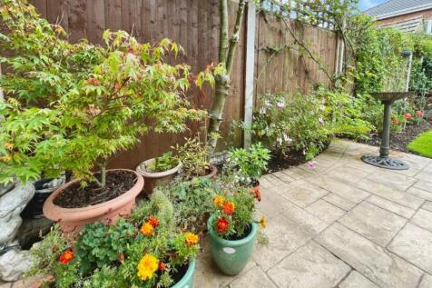 f93bd7c8--4A03-B473-119C4C674CDC-91930-00000CED456