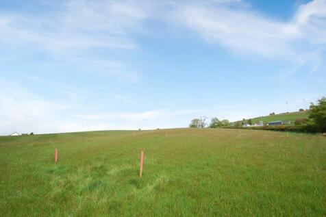 Field View