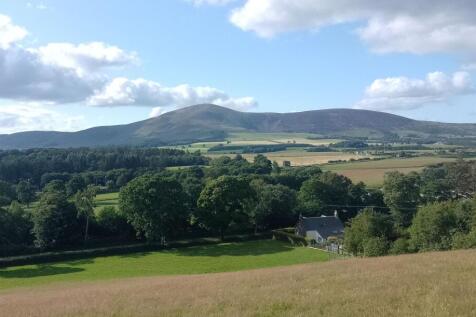 View from hill 2