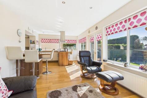Kitchen/Living Area