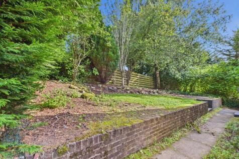 Back Garden