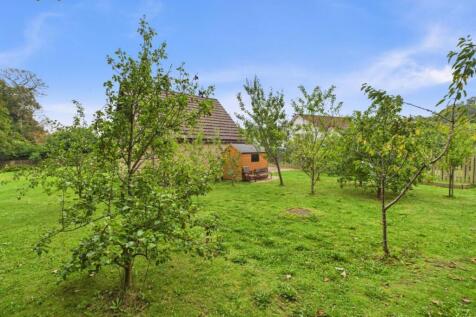 Orchard