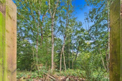 Woodlands
